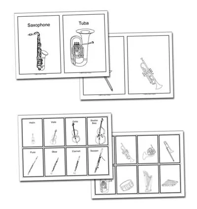 flashcards_ss Flashcards Ss