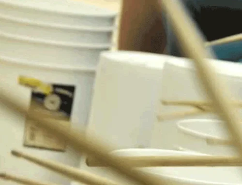 The Best Buckets to Use for Bucket Drumming in Schools